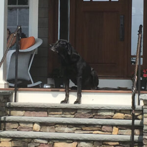 8664f8_f1fe7bac535d475d9b4550f4ab3f907e~mv2